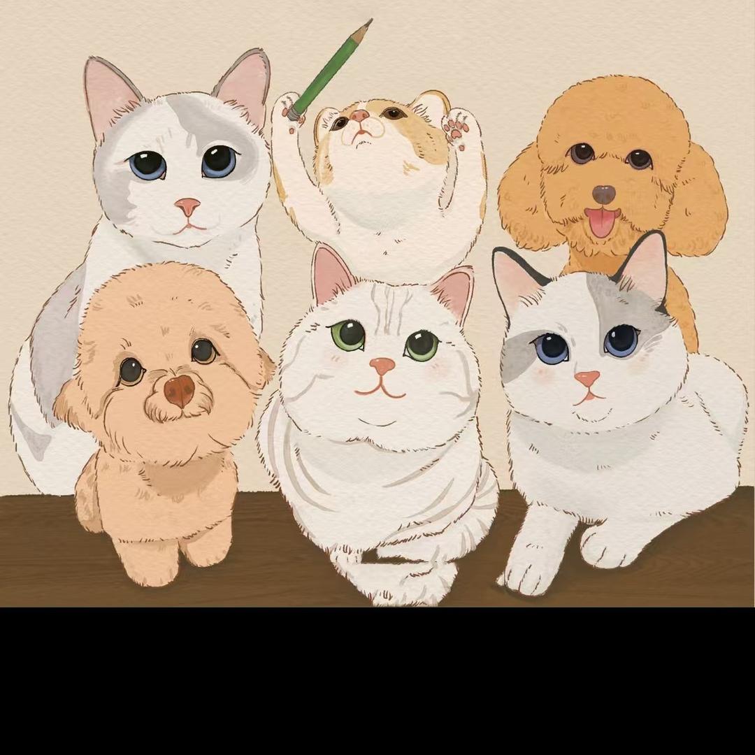 福豆宠物用品馆