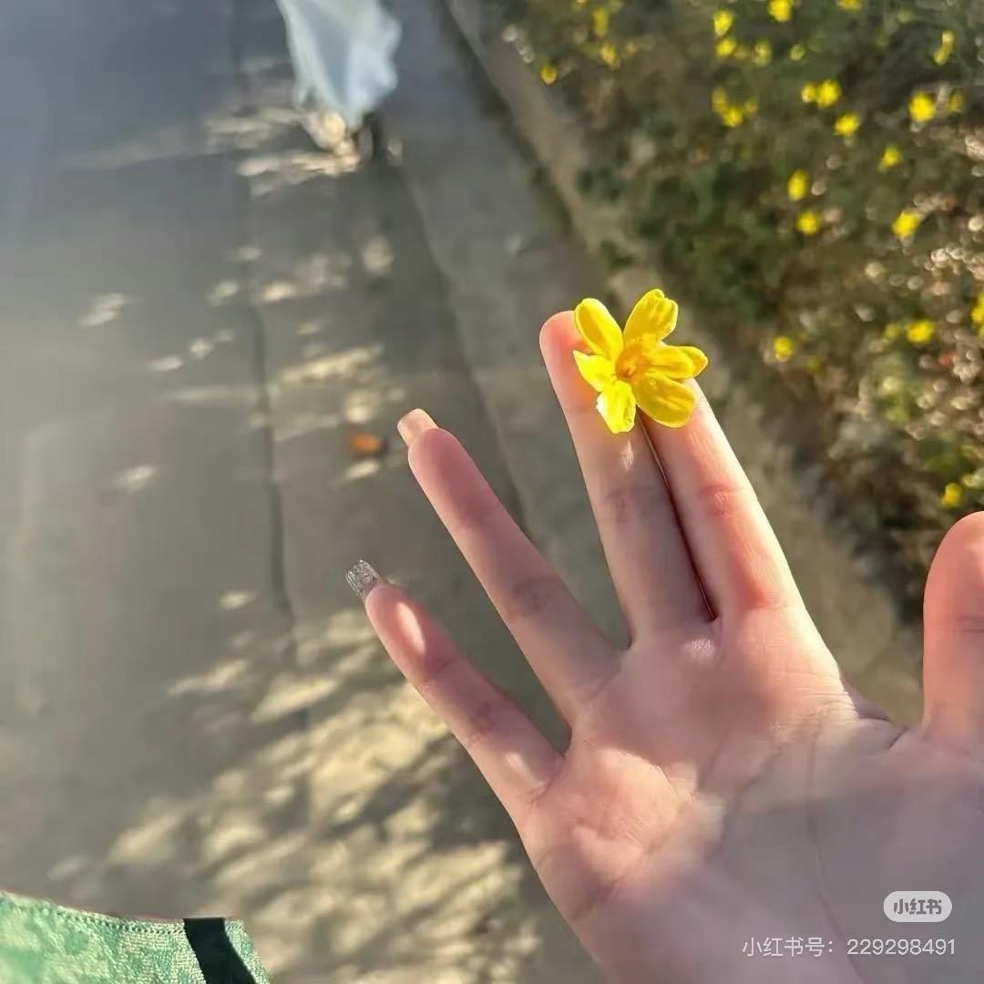 章鱼小丸子