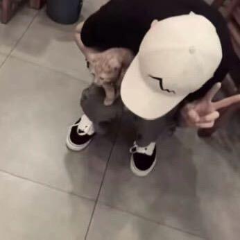 🌈🍀🌈🍀🌈🍀