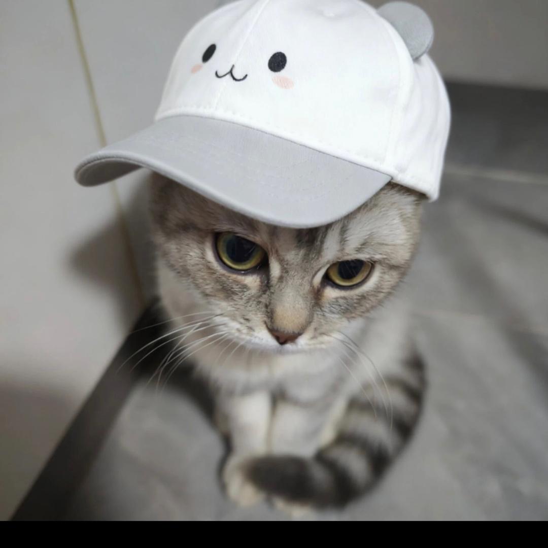 不xixi