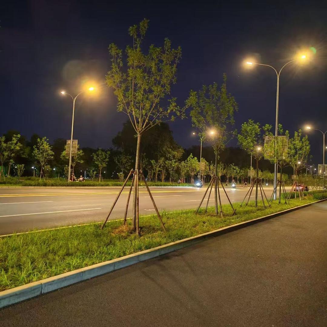 安溪县参内镇黄伟艺保洁服务店