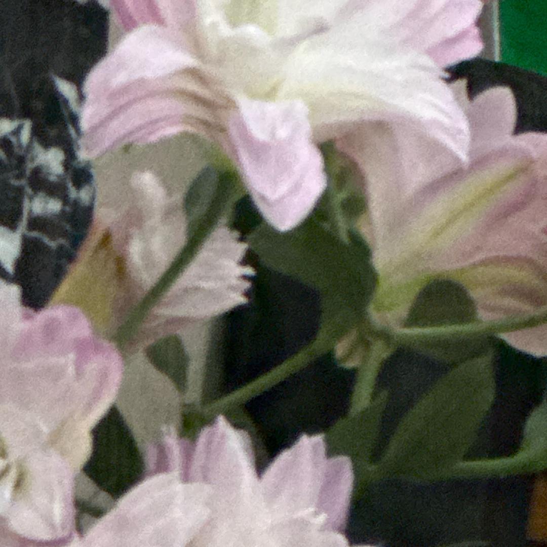 百合花