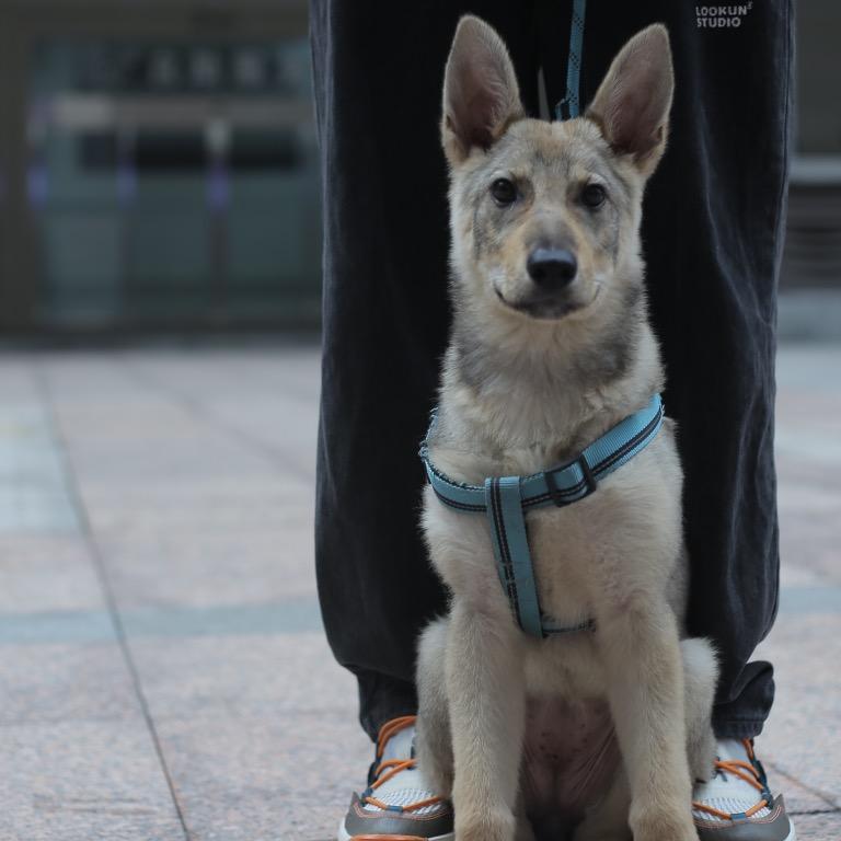 恩烁跆拳道官方号