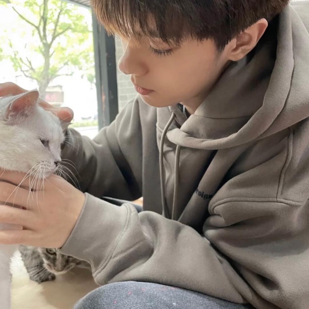 球球大作战小权