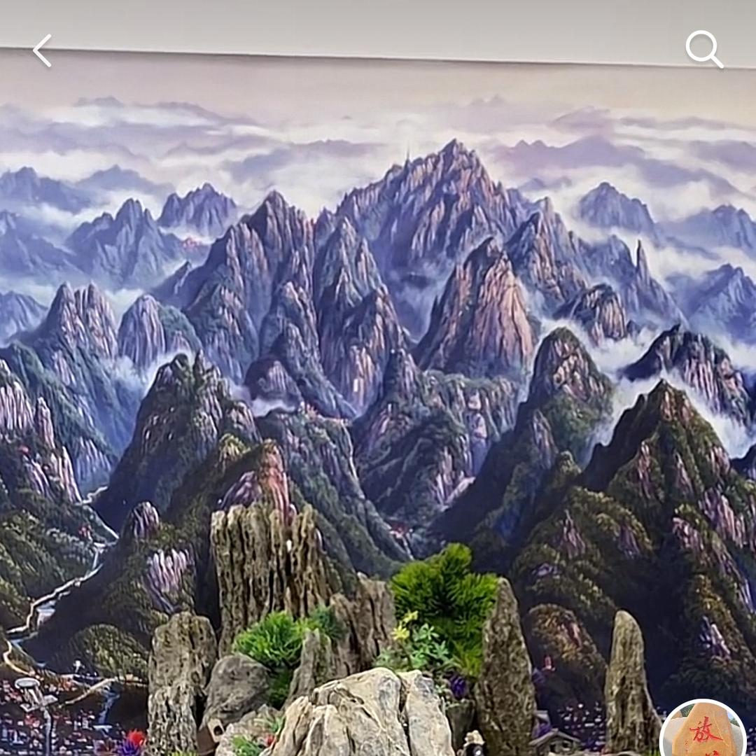 英石园艺