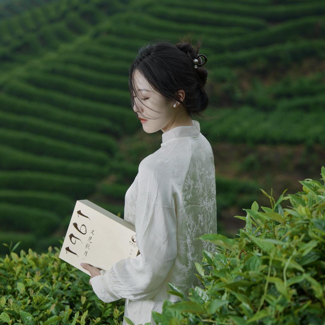 茶人王净