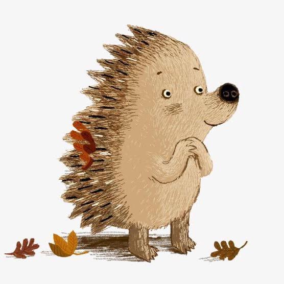 小刺猬追剧🦔