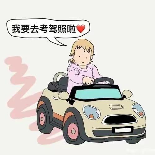 合肥驾考程校长