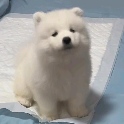 远山