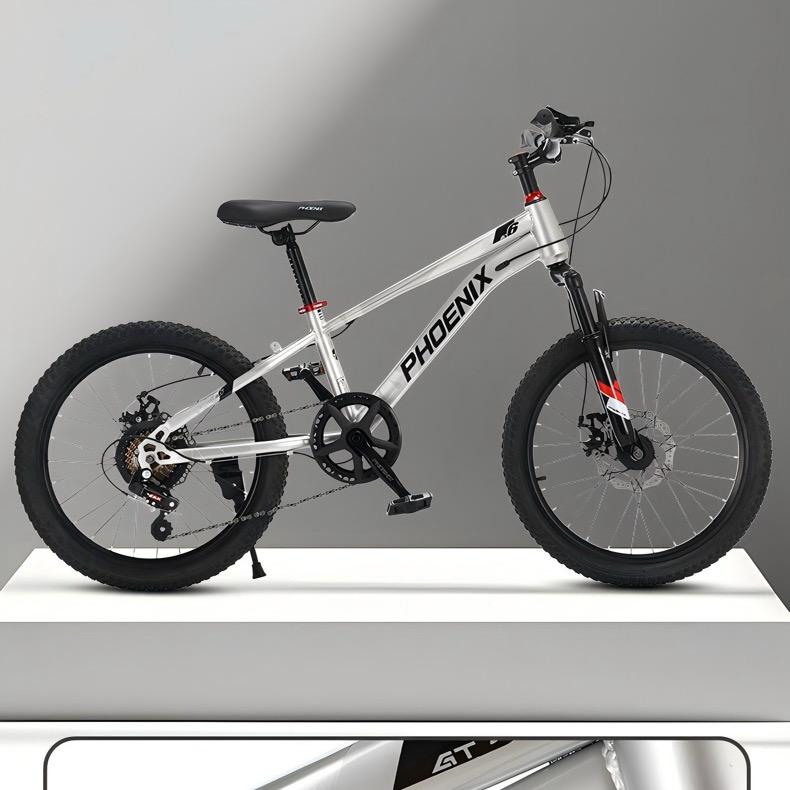 青少年品牌自行车