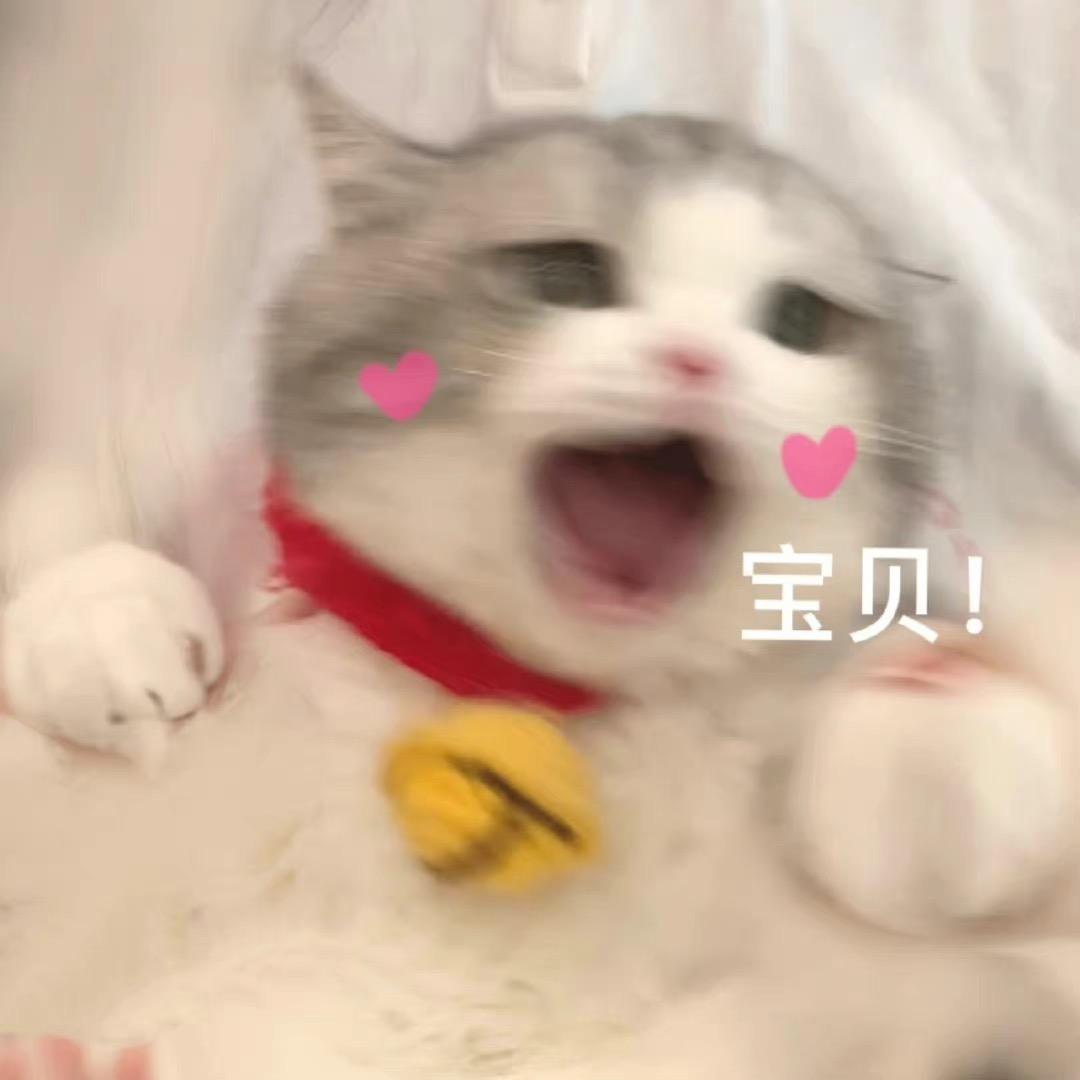 停停也不错