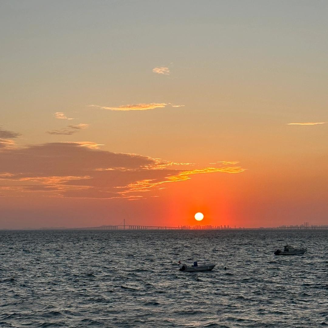 范海辛