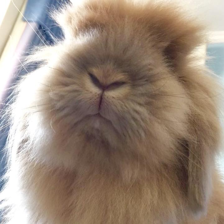 新新