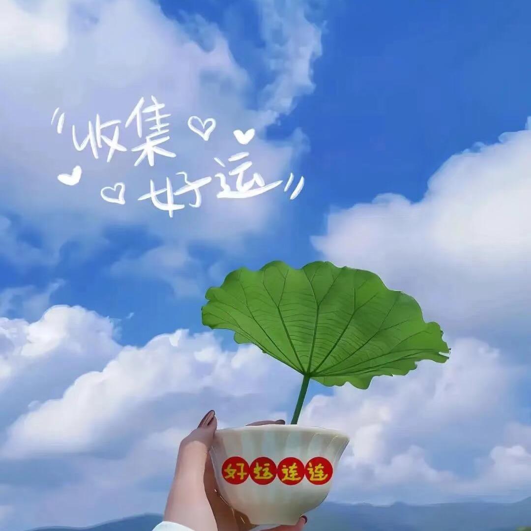 潍坊潍城睫毛加工（常年招工）