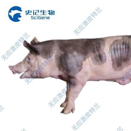 史记