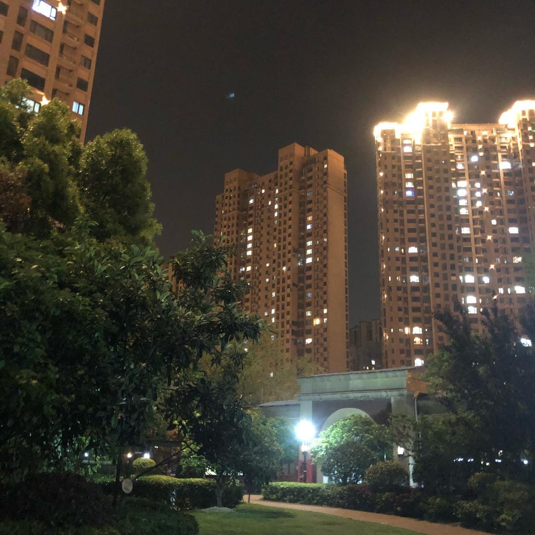 🌈摆烂的萝卜