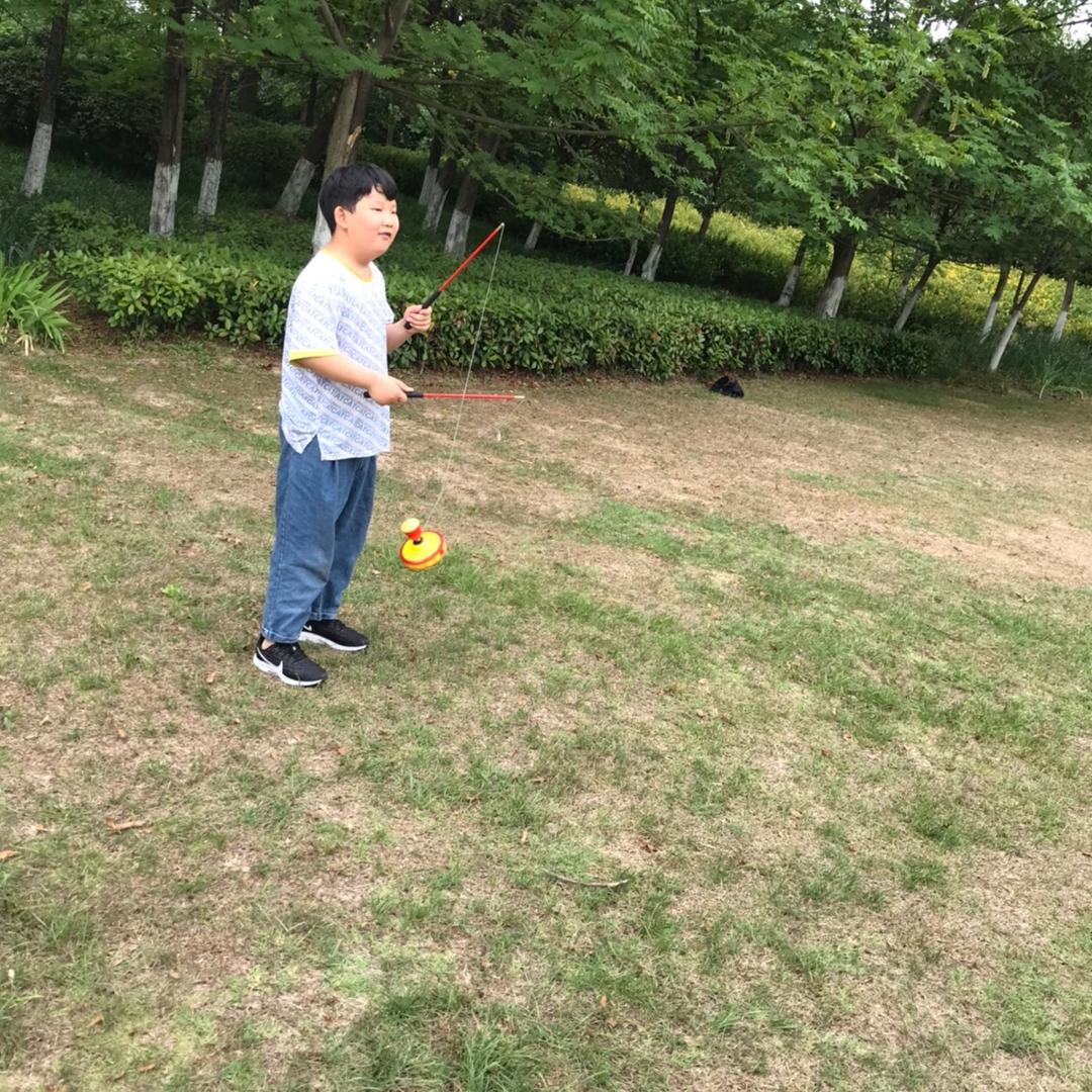 岩石上面一枝梅
