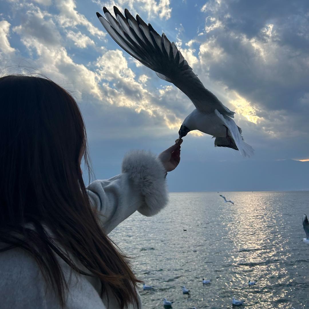 佳丽家大码女装