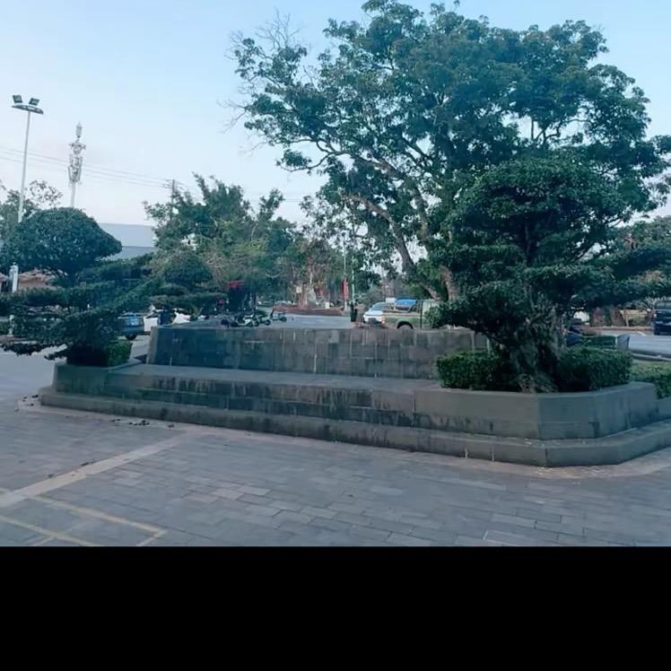 他真的来了