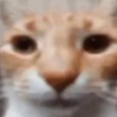 易遇怀