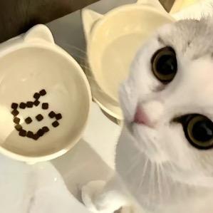 不吃酸菜^