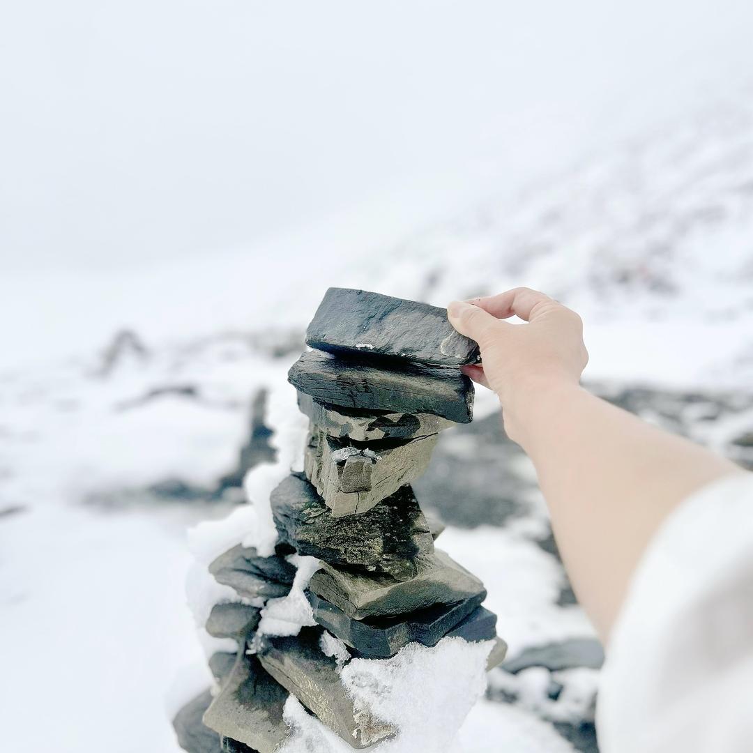 悠然见红梅