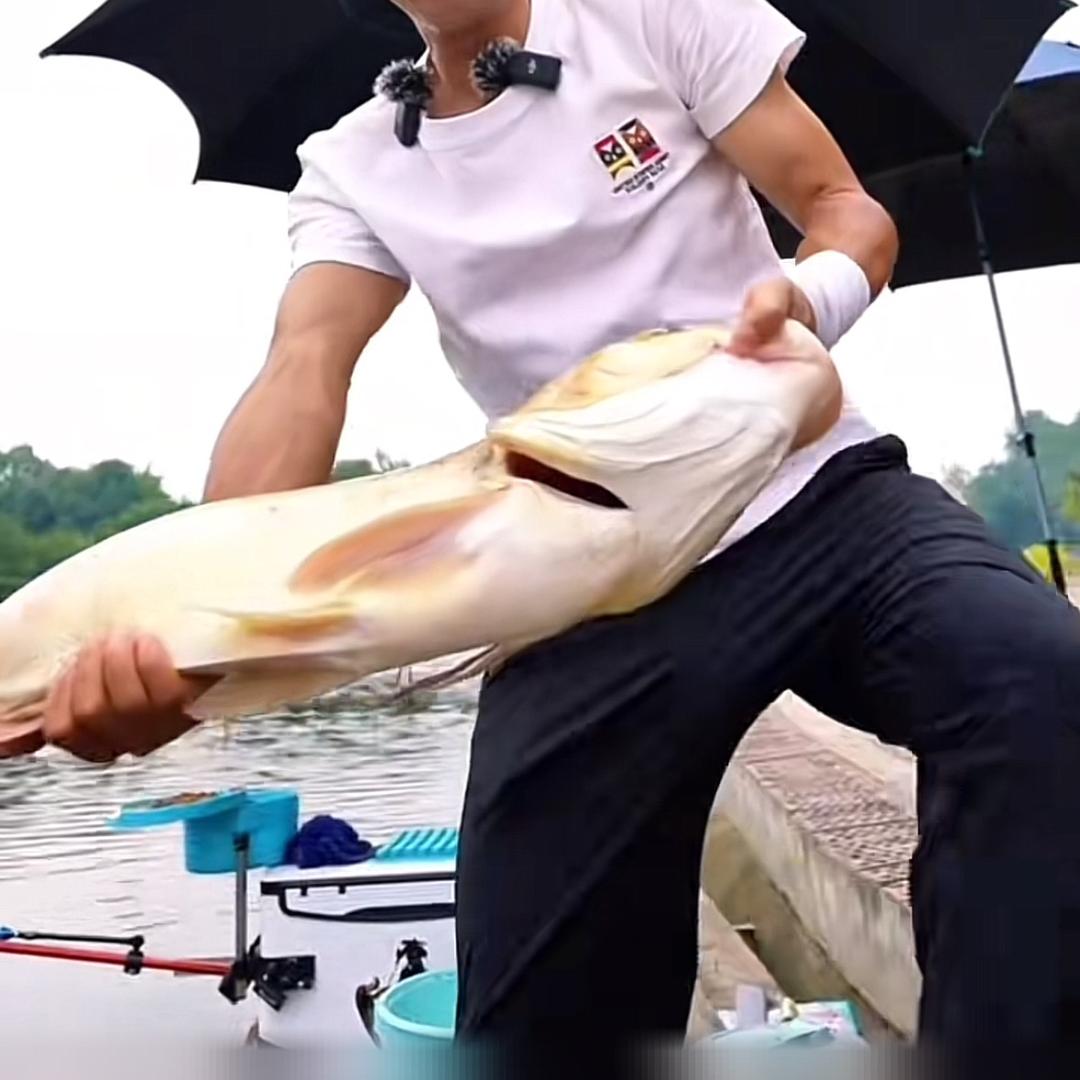 钓鱼曾大师