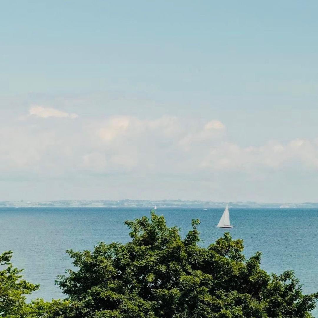 大海航行靠舵手！