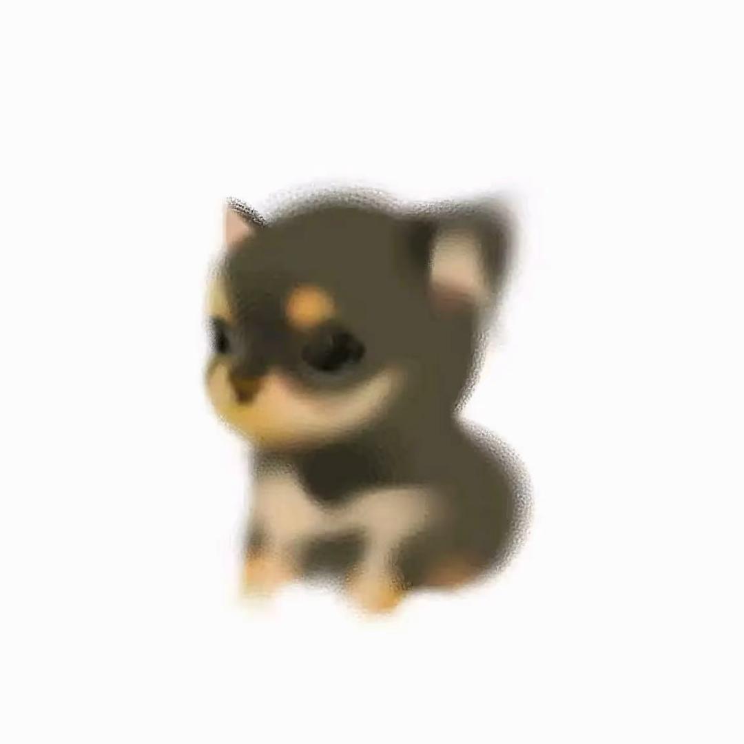 有丸没完