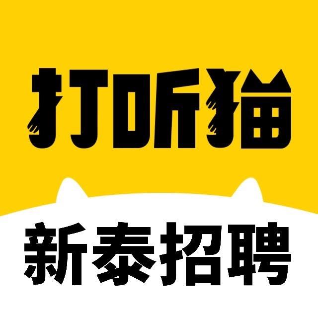 新泰打听猫