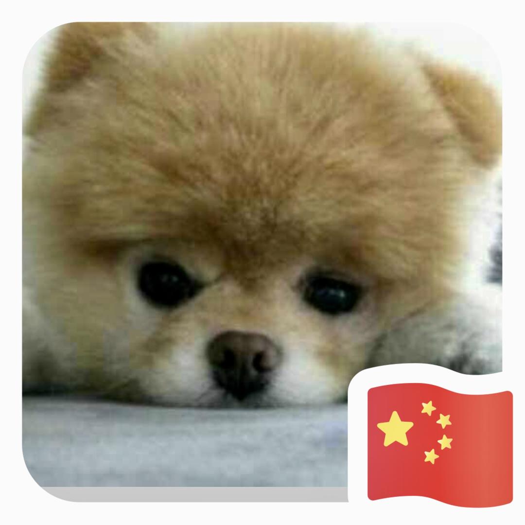 萍连Z