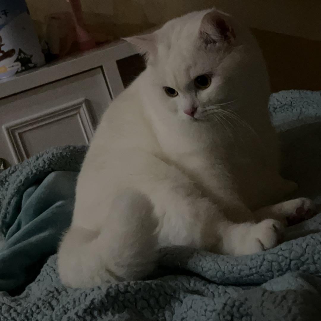 @星星爱吃小零食