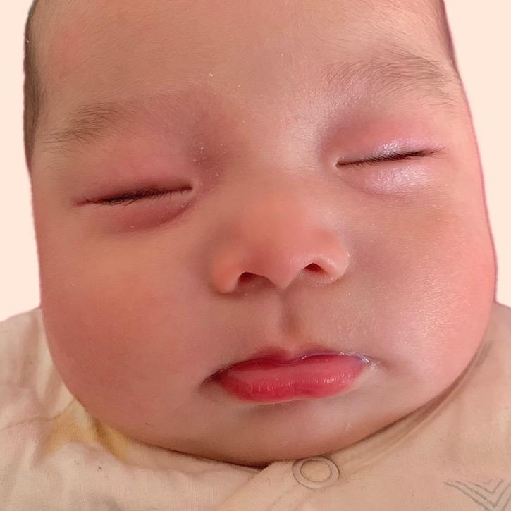 牛崽很忙