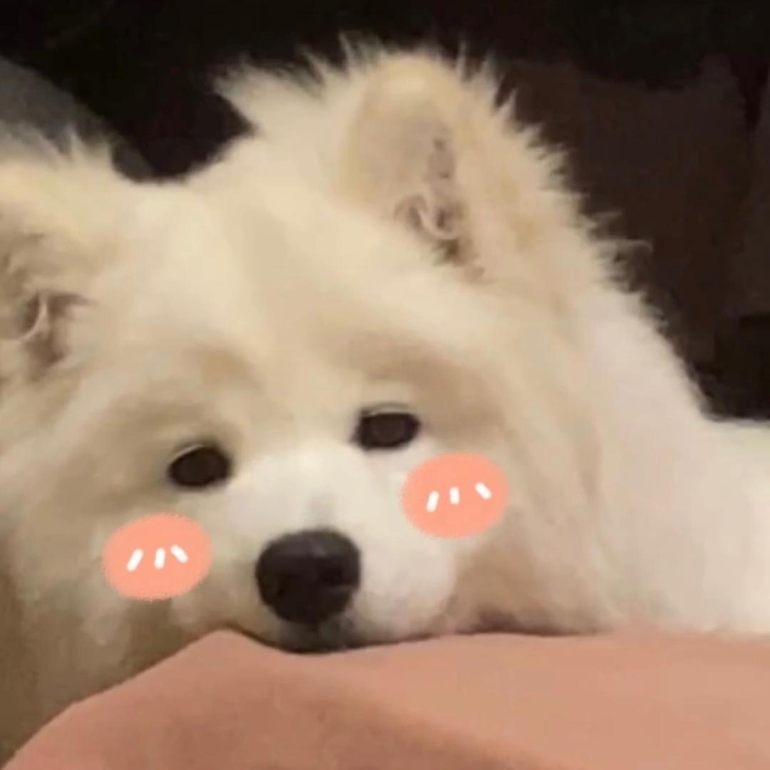 科讯家居