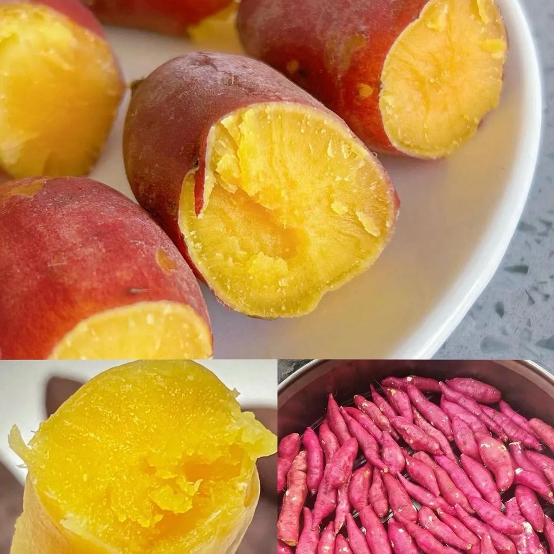 粮食总动员三农合作社