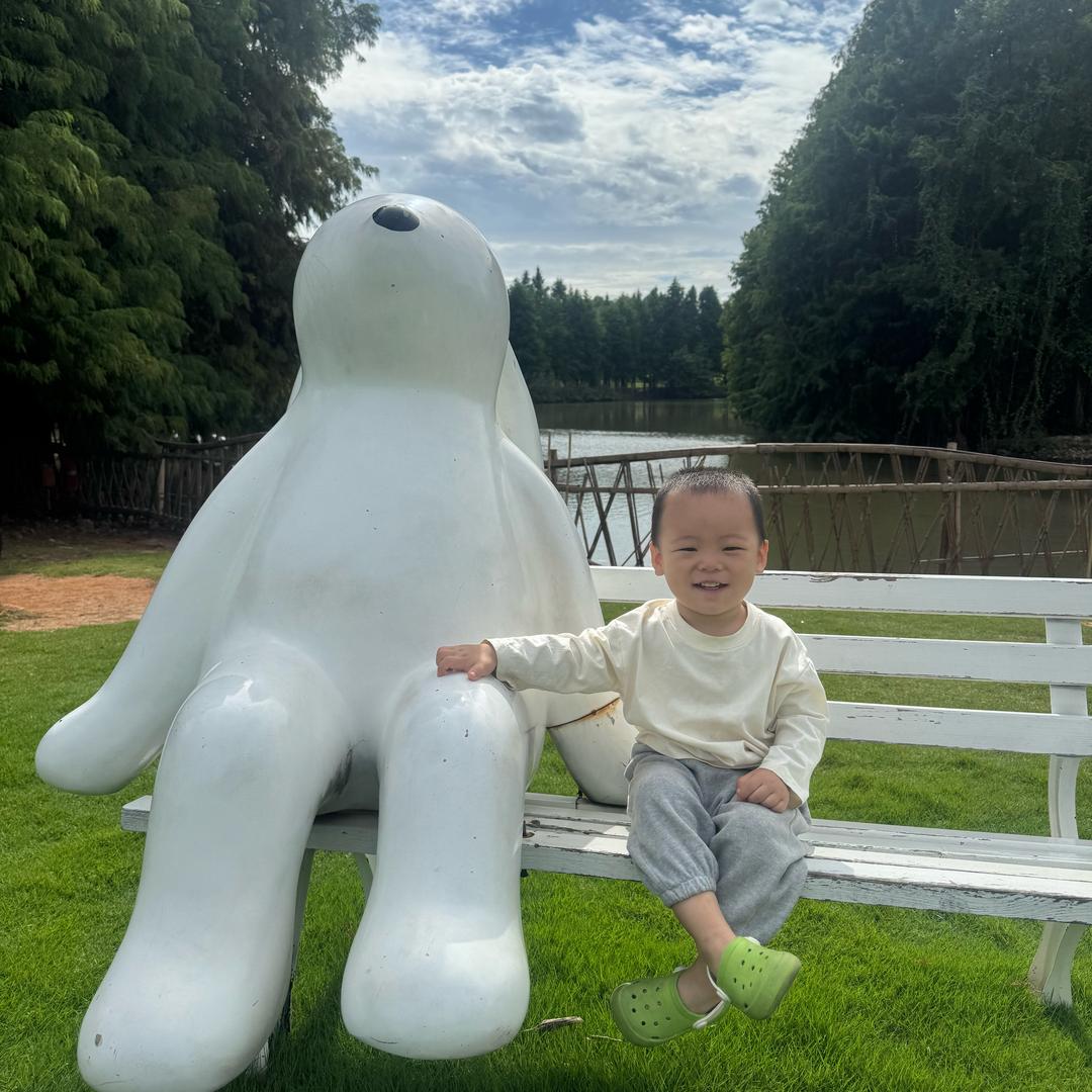 夙愿