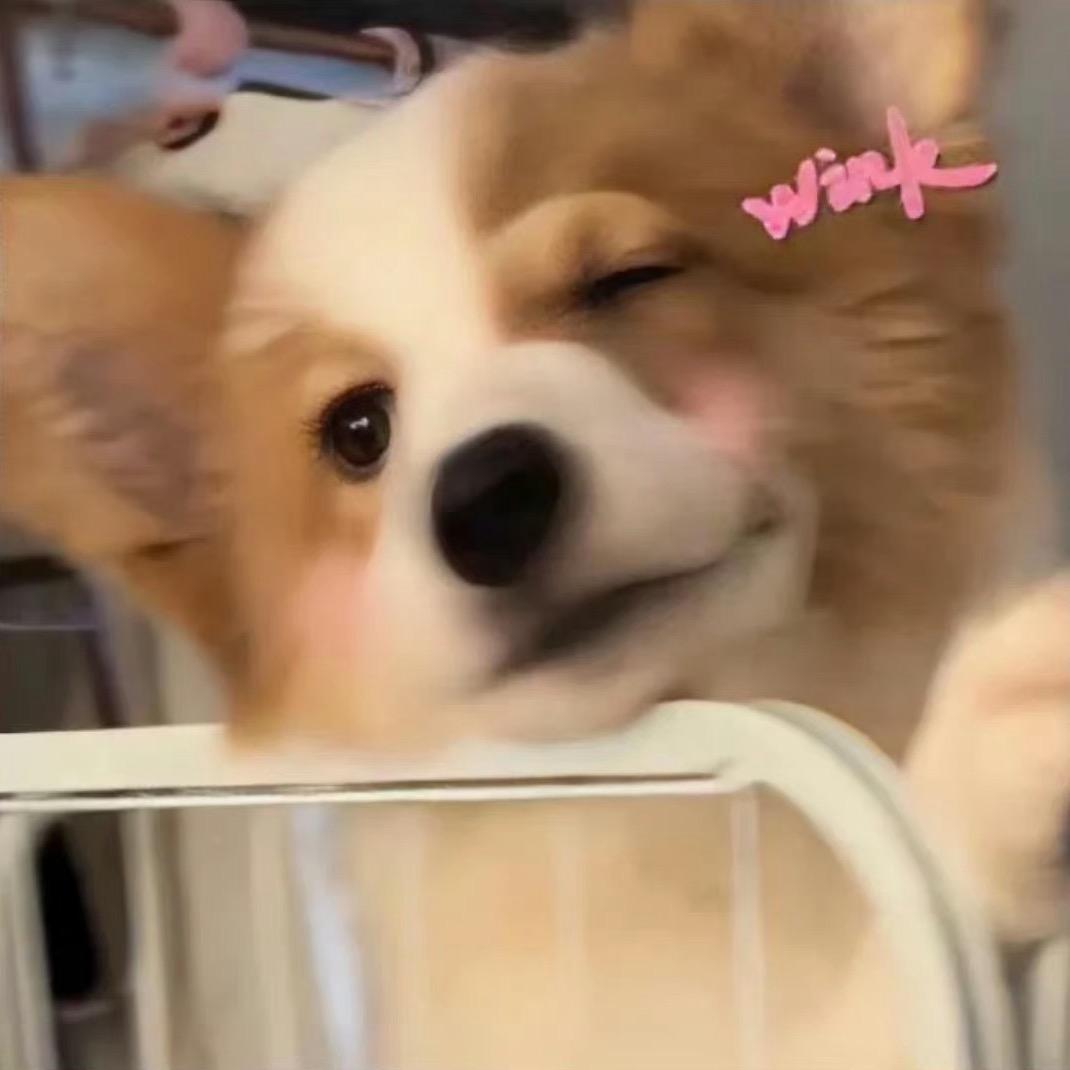 富婆麦包