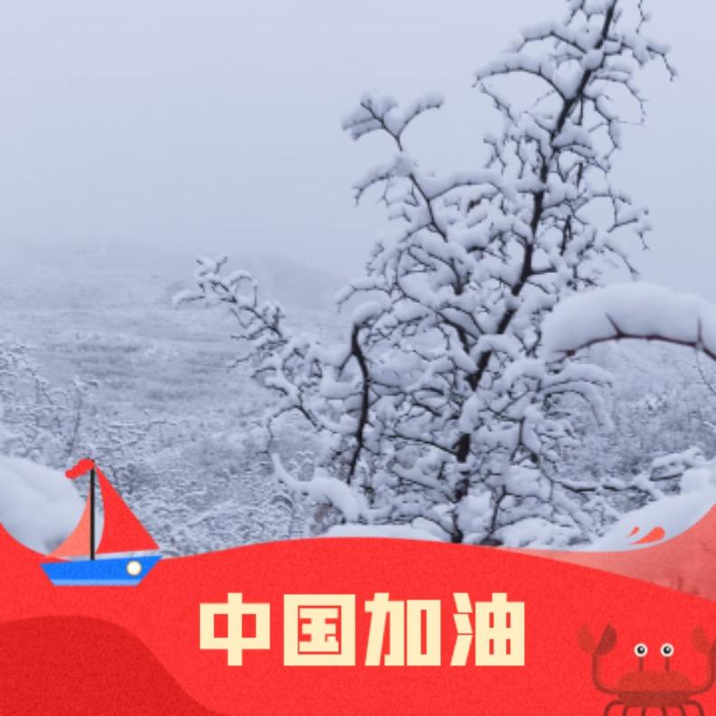 壹拉柯的伊