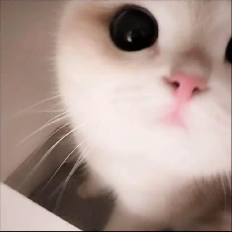 蕃茄糯米