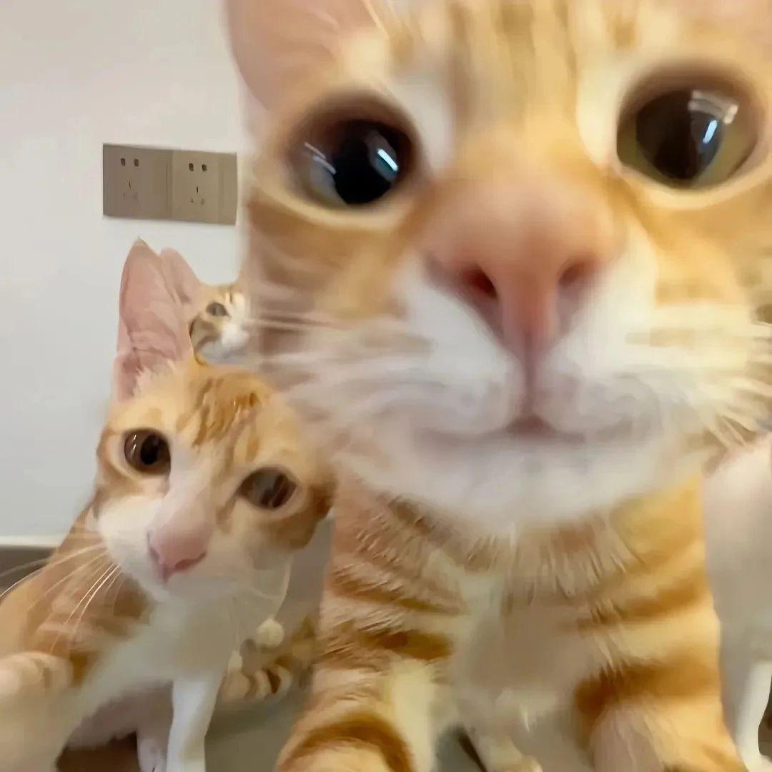 鼓楼区夏抱冰餐饮店