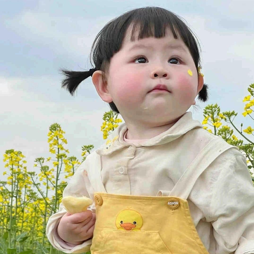 我是土豆，又土又逗