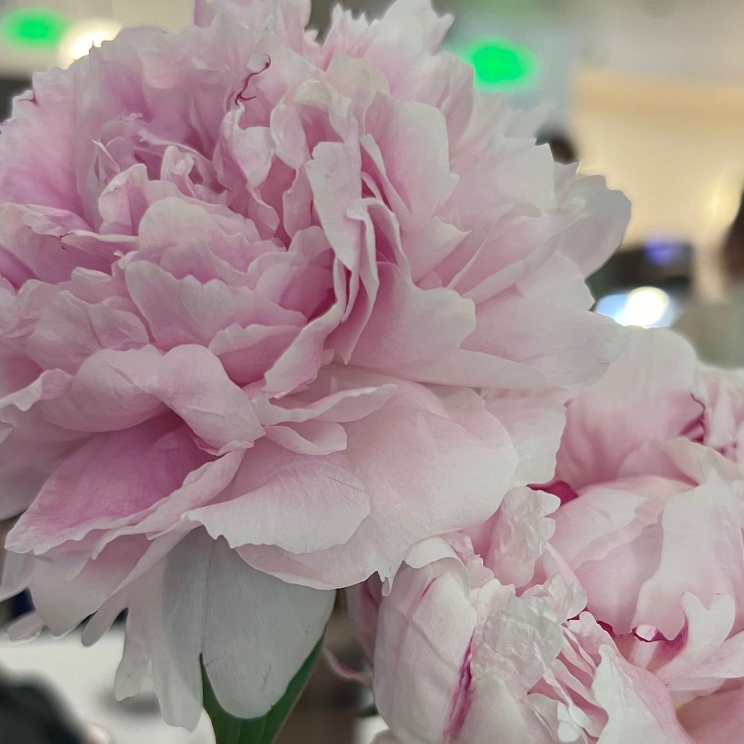 快乐逆袭•学习机测评