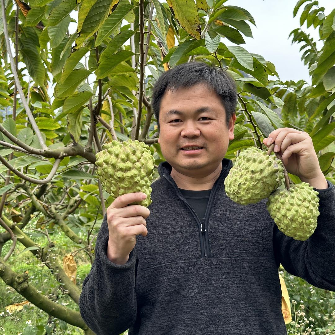 陈师傅讲种植