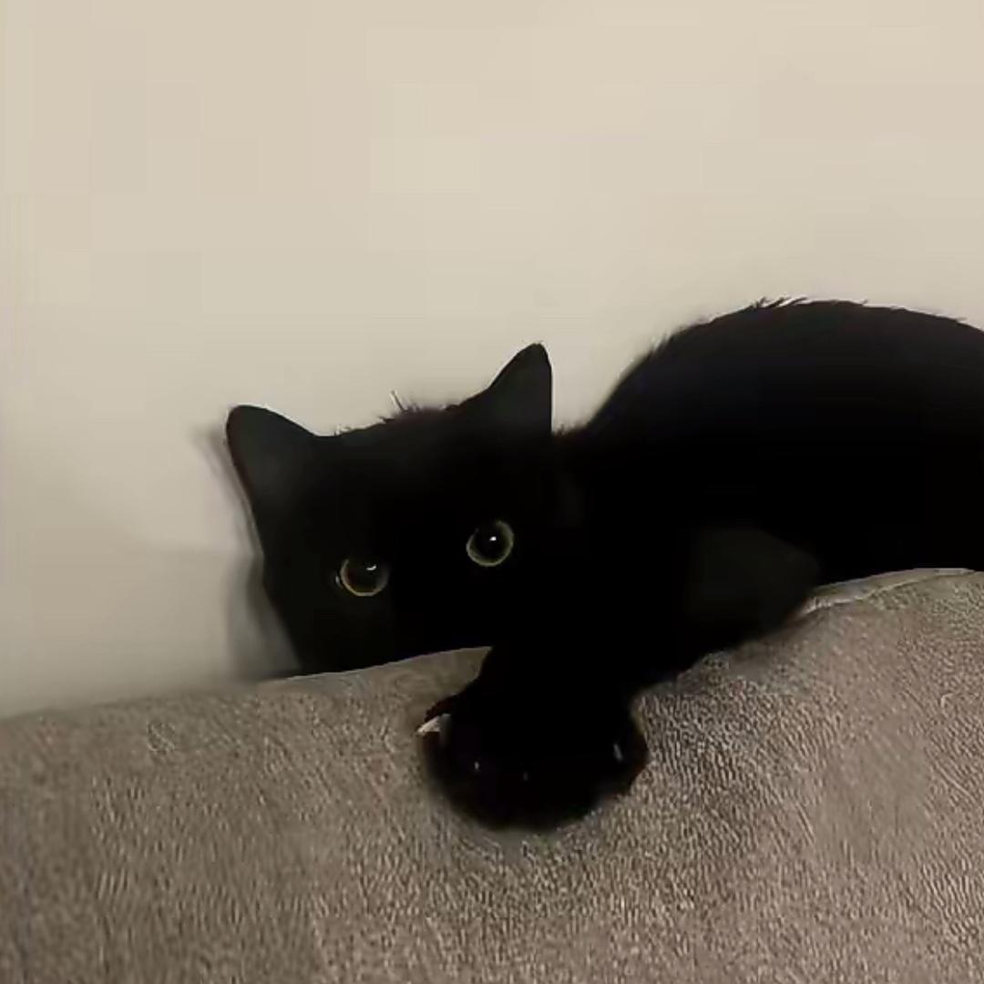 🥸😙