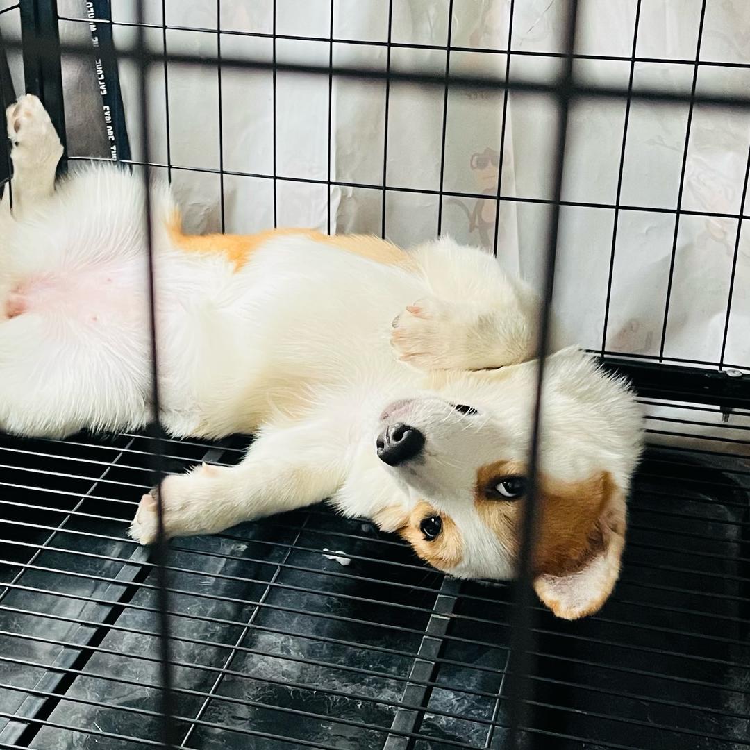 ༺ༀ༂࿅࿆࿅向远༂ༀ༻