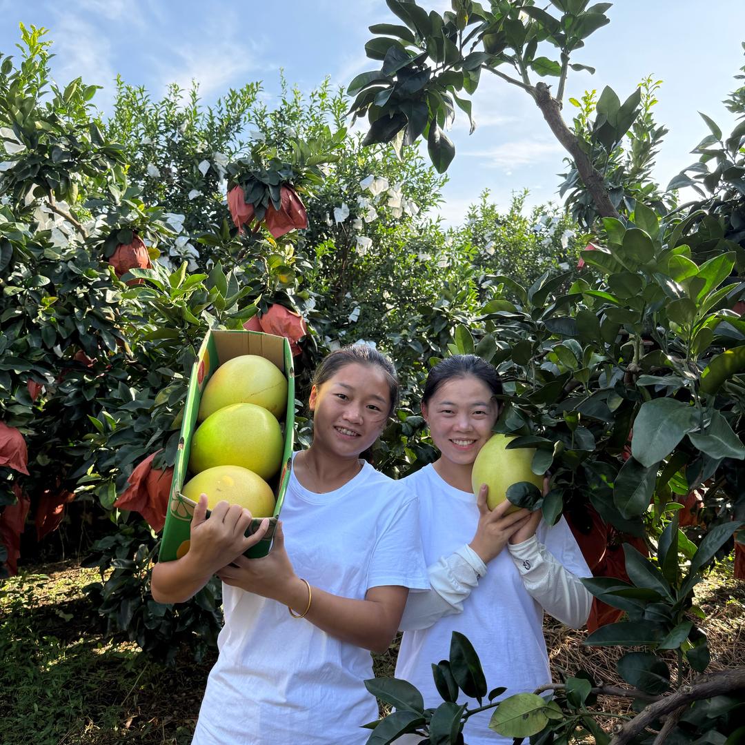 我就是爱吃新鲜水果