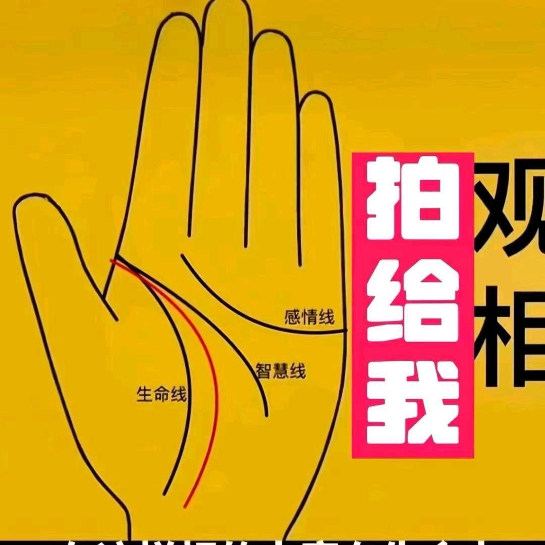居士青言