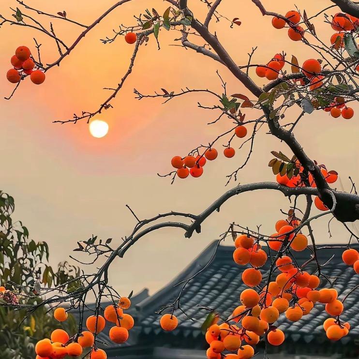 星辰大海👍秦