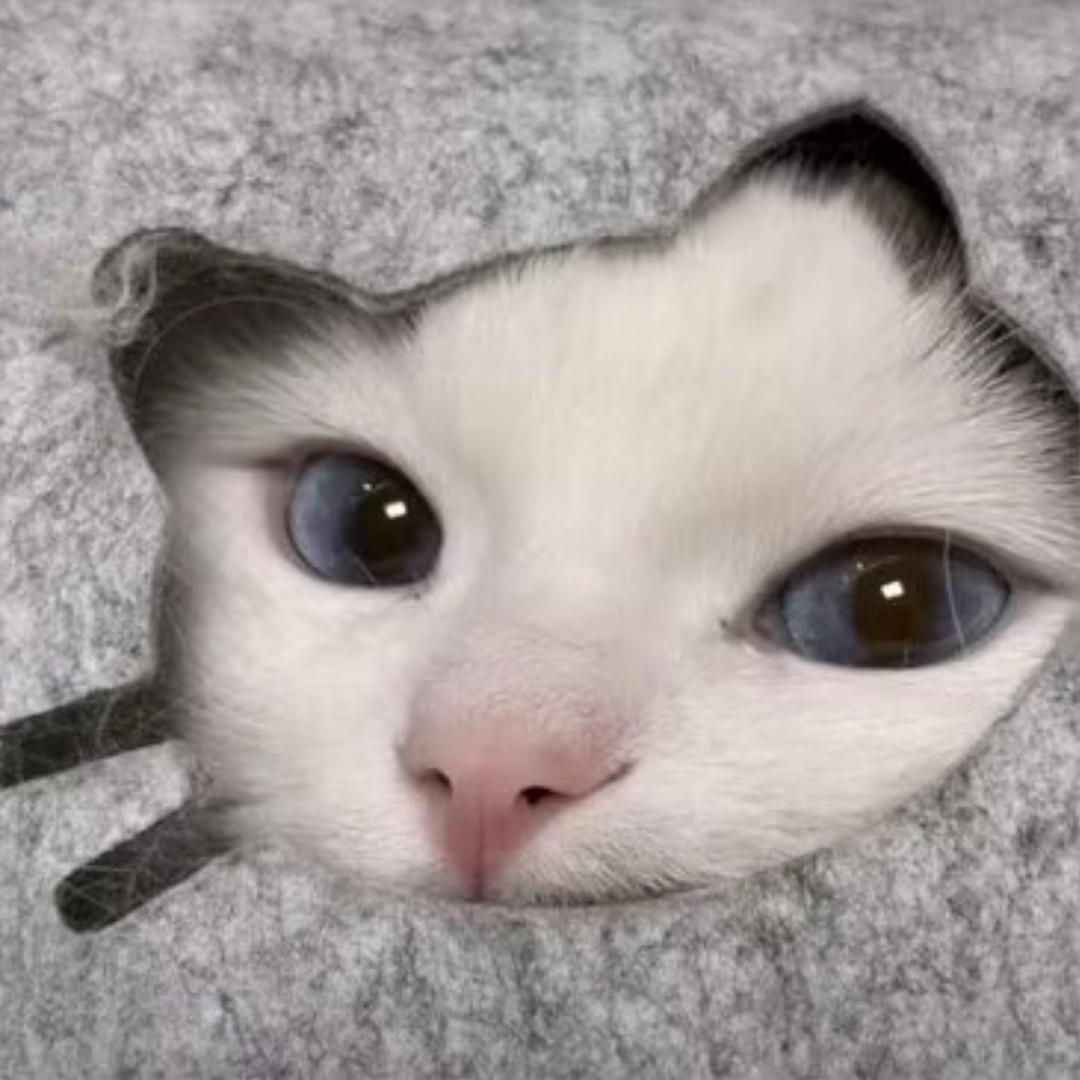 食言