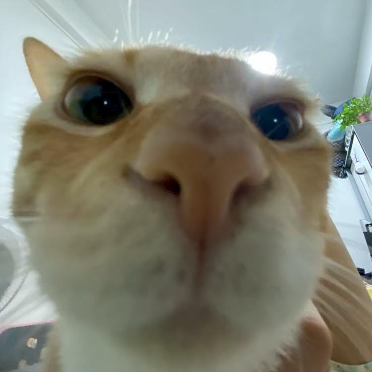 小李非要叨叨（纯直男版